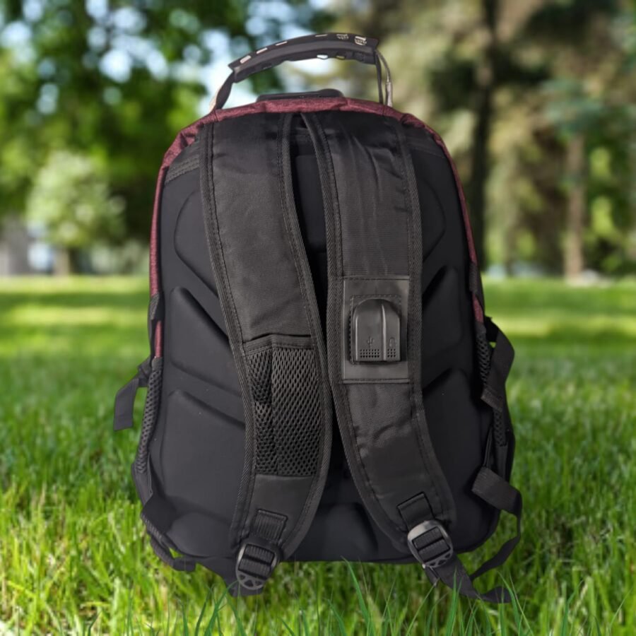 Mochilas Swiss Gear para hombres bolsos de varones, mocilas suizas de caballeros multidepositos tamaño grande - mediano