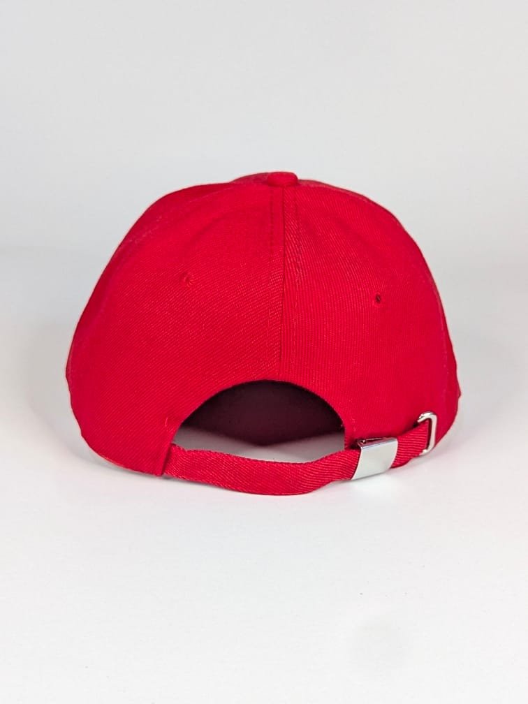 Gorra Vineyard Vines (Ballena, ballenita)